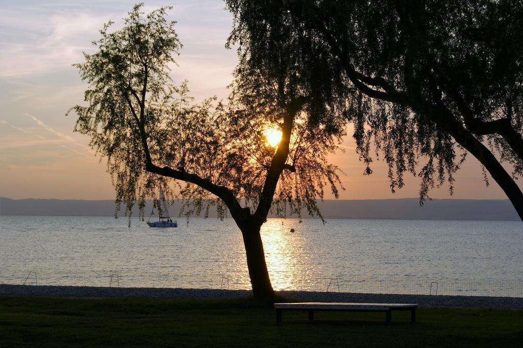 Die Pension Reeh Podersdorf am See Exteriör bild